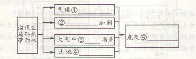 高考地理《雨林的前途》章节知识考点图片